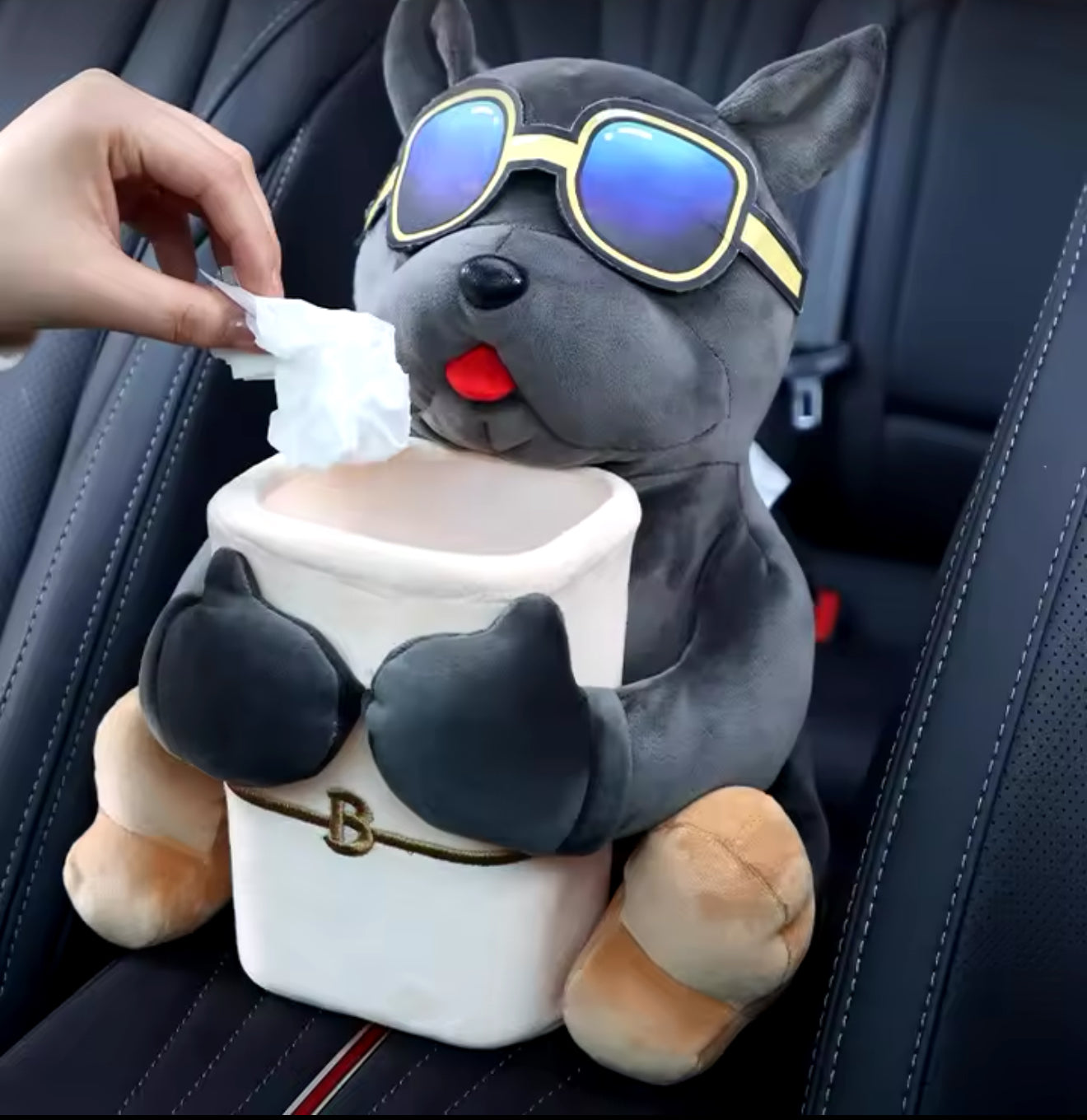 CleanDoggo – Der treue Begleiter für ein sauberes Auto