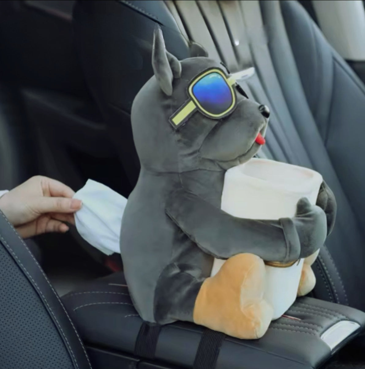 CleanDoggo – Der treue Begleiter für ein sauberes Auto